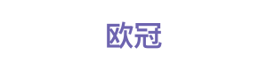 欧冠 Logo